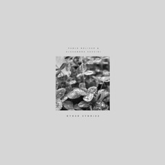 Pablo Bolívar & Alexandra Savvidi - Other Stories LP (VINYL PRE-ORDER)