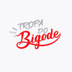 ULTIMA MEGA DO ANO = MC’S RD,2B,GW = (DJ GORDÃO DO CT & SABINO BG)#TDB