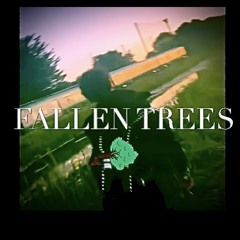 FALLEN TREES