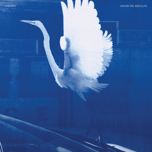 Stream Daft Shaft by Sybarite Listen online for free on SoundCloud