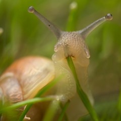 Kamiyada - Adult Swim (ft. Original God & Yung Bitch) (Bass Boosted)