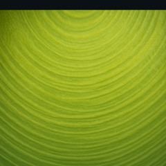 GOOD LIFE (sped up version)- Romeo Suavę