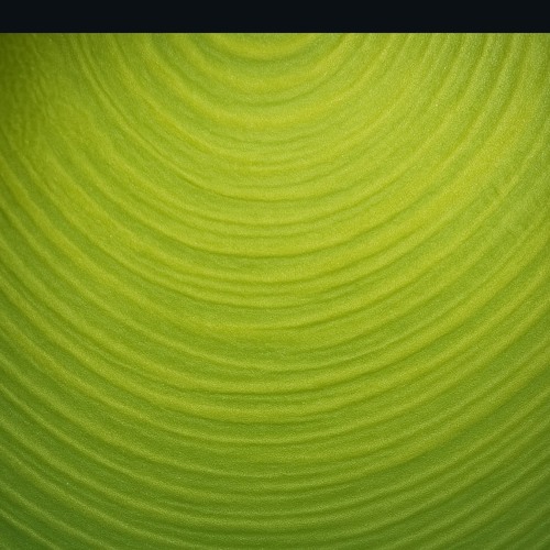 GOOD LIFE (SPED UP VERSION)- Romeo Suavę