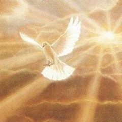 الروح القدس والأزمنة الأخيرة - مسؤلية المكرسين -العنصرة وصوم الرسل 5 - 6-1996.MP3
