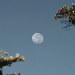 Space Oddity (David Bowie Cover)