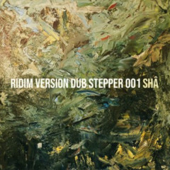 ridim version dub 001