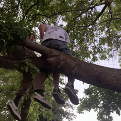 We Go Along Together Every Night