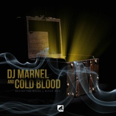 DJ Marnel & ColdBlood - Behind The Rules ( 4JUNGLE REC 2022 )