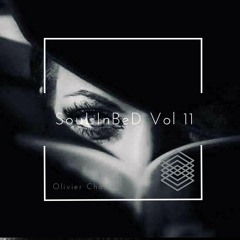 SouLInBeD Series Vol 11 Unmixed