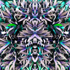 Multiversal.Computation
