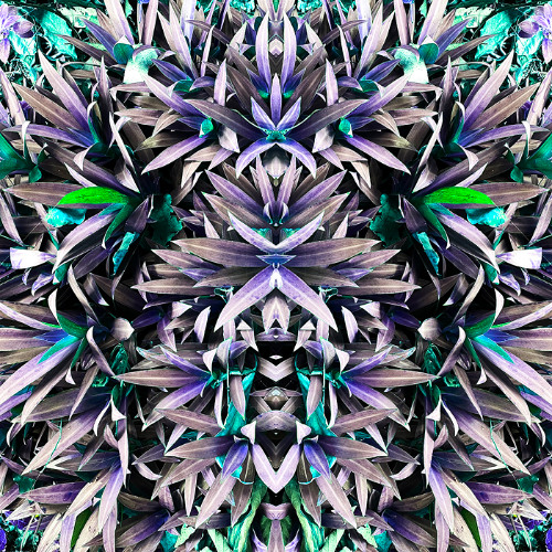 Multiversal.Computation