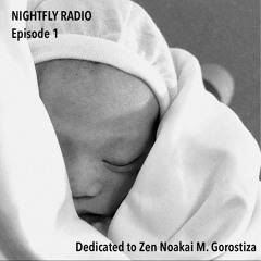 Nightfly Radio - Episode 1 (Pilot)