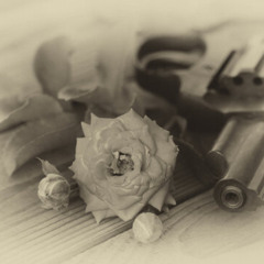 Kill You By Roc Marciano (Remix) By giallo Point