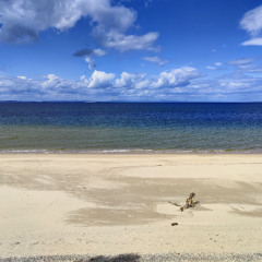 My Job Is Just Beach