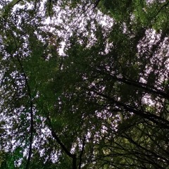 hrvatski bog mars '97 - kletva kralja zvonimira