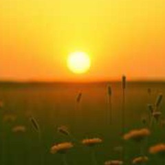 Hey Press on soldier, written by Johnny B