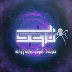 Enter The Void
