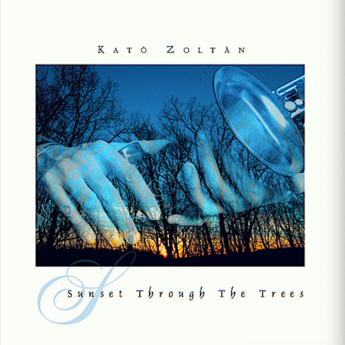 Sunset Through The Trees