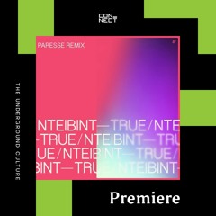 PREMIERE: NTEIBINT! - True (Paresse Remix) [Eskimo Recordings]