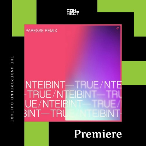 PREMIERE: NTEIBINT! - True (Paresse Remix) [Eskimo Recordings]