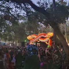 Dank Mixes and Live Sets