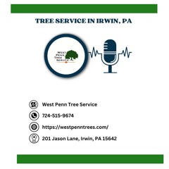how-can-i-save-money-on-tree-removal-services-in-irwin-pa