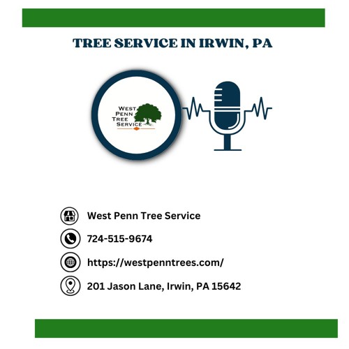 how-can-i-save-money-on-tree-removal-services-in-irwin-pa