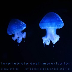 invertebrate duet improvisation (disquiet0455)