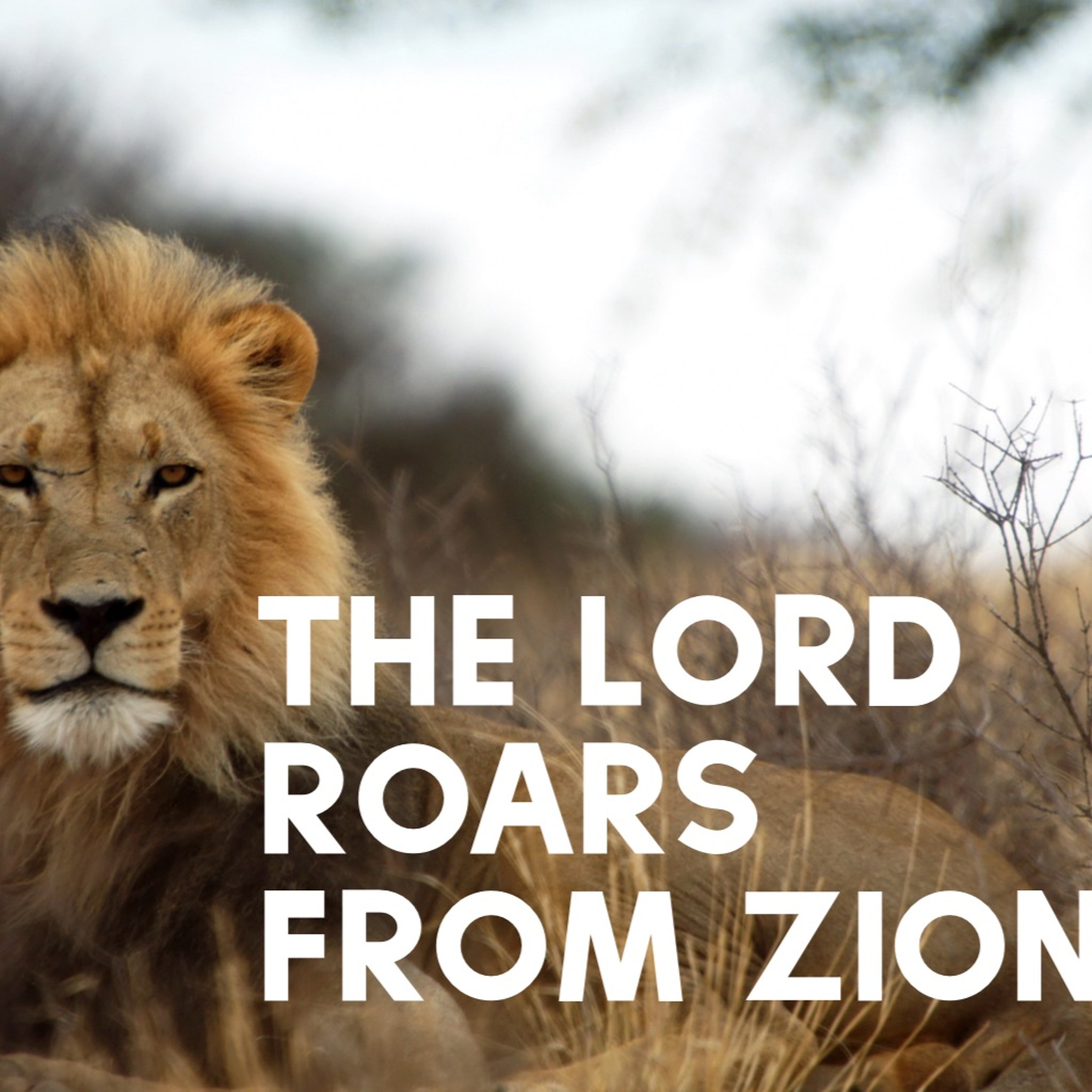 Biblical Justice: It Matters to God- Joel Repic- October 11, 2020