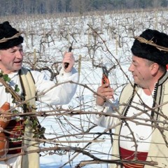 Folkstudio on Radio Bulgaria: Traditional Bulgarian songs and beliefs related to wine