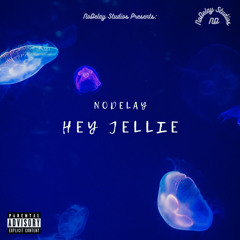 Hey Jellie (Radio Edit/Clean)