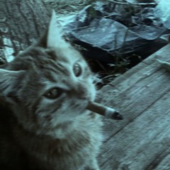 čakám ako na meškanie vlaku