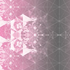 heart shaped holidays