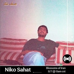 Niko Sahat | Blossoms of Iran | November 2022