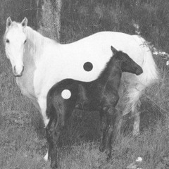 ROCOSO *DEMO