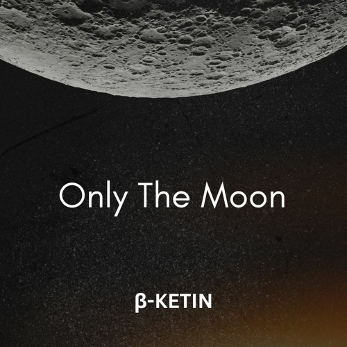 Naviarhaiku538(Only the moon)