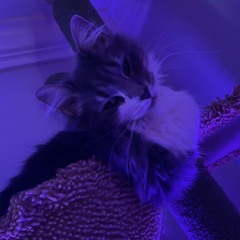Mila