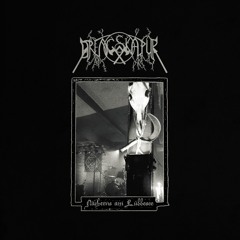 Nächtens am Lübbesee (Live-Album, 2021)