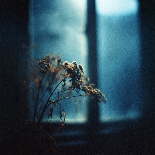 First Listen: ADILR - A Sad Song For The Lonely Hearts (xdig01)