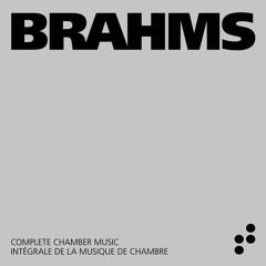 16 Waltzes, Op. 39: IX. Valse No. 9 in D Minor (Live)