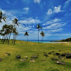 NO ME QUIERO CASAR REMIX