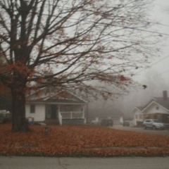 TARANTULA 2024 - 01 - 09 130