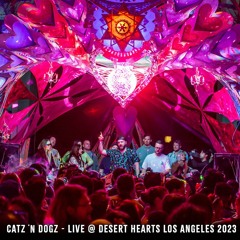 Catz 'N Dogz - Live @ Desert Hearts Los Angeles (Full Set)