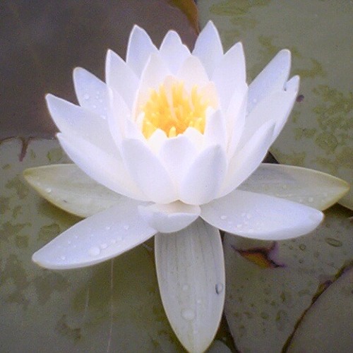 So Hum Meditation  - Clondalkin Yoga with Caitriona