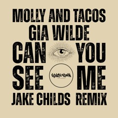 Can You See Me Jake Childs remix