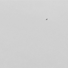 Soaring