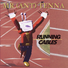 Tenna and the Hardware Store