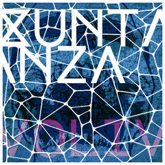 Xuntanza Vol.IV (Fanzine Records 019)