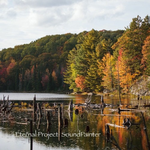 Eternal Project- Big Point Pond To Biernacki Lake-Rough Cut