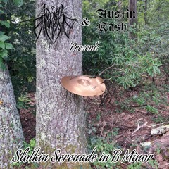 Slotkin Serenade In B Minor (feat. Austin Kash)